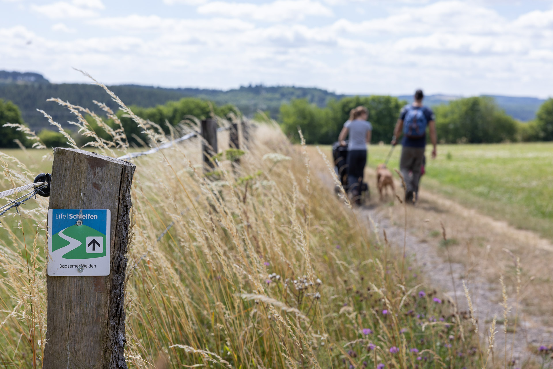 Dahlem_Baasemer Weide_© Eifel Tourismus GmbH Dahlem_Baasemer Weide_© Eifel Tourismus GmbH