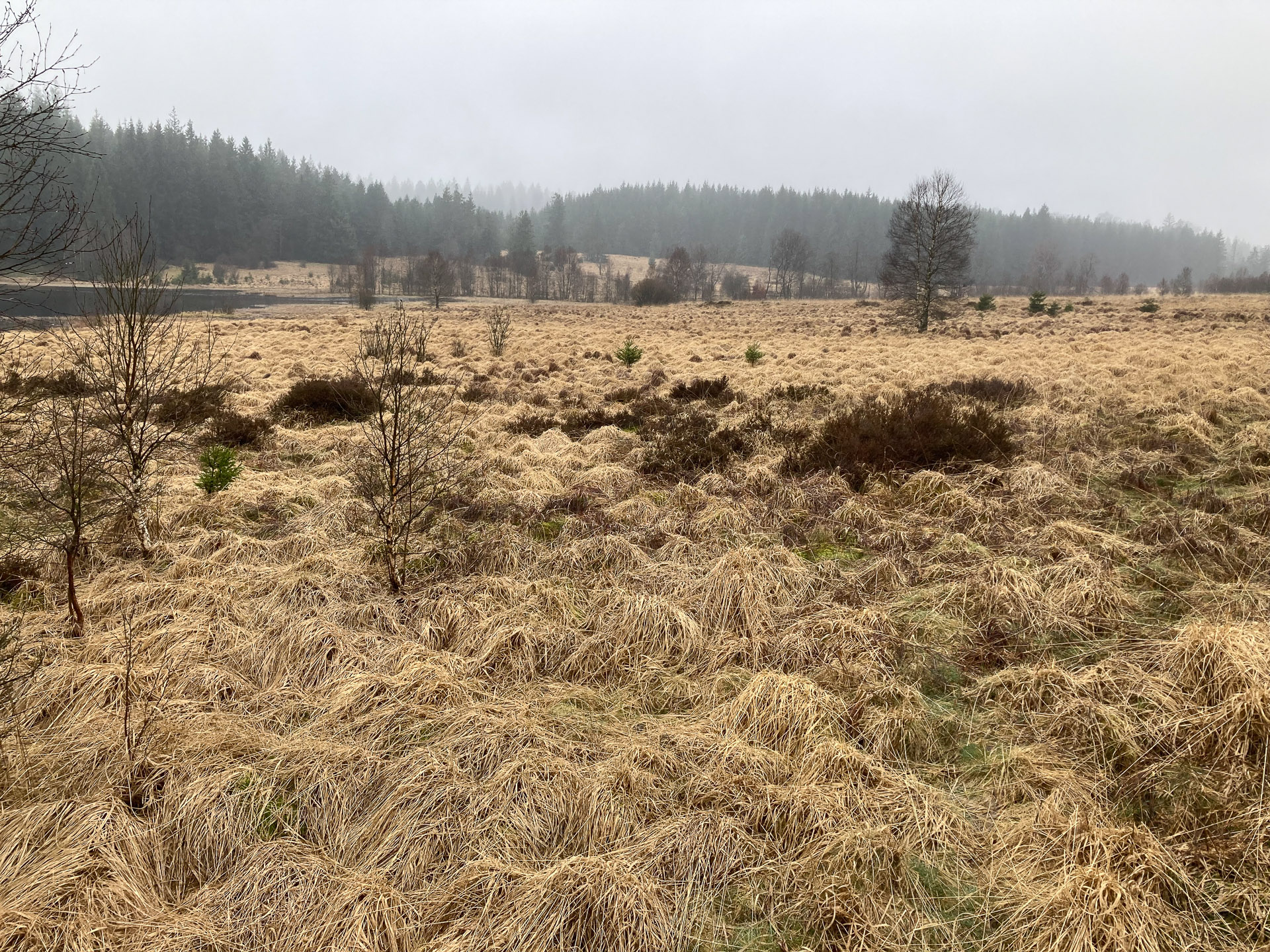 Zehntscheune in Kronenburg – es gibt in Kronenburg und seiner unmittelbaren Umgebung viel zu entdecken und zu erleben. Zehntscheune in Kronenburg - es gibt in Kronenburg und seiner unmittelbaren Umgebung viel zu entdecken und zu erleben.
