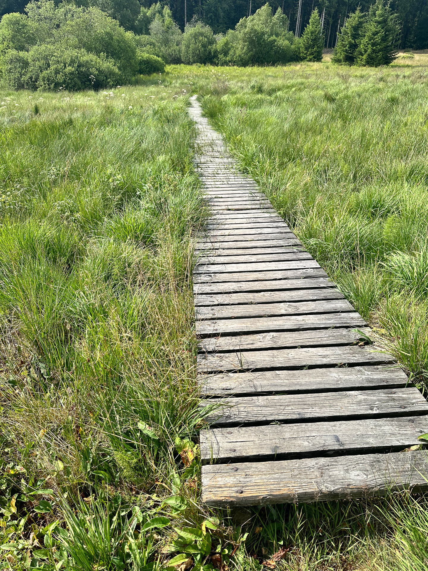 Zehntscheune in Kronenburg – es gibt in Kronenburg und seiner unmittelbaren Umgebung viel zu entdecken und zu erleben. Zehntscheune in Kronenburg - es gibt in Kronenburg und seiner unmittelbaren Umgebung viel zu entdecken und zu erleben.