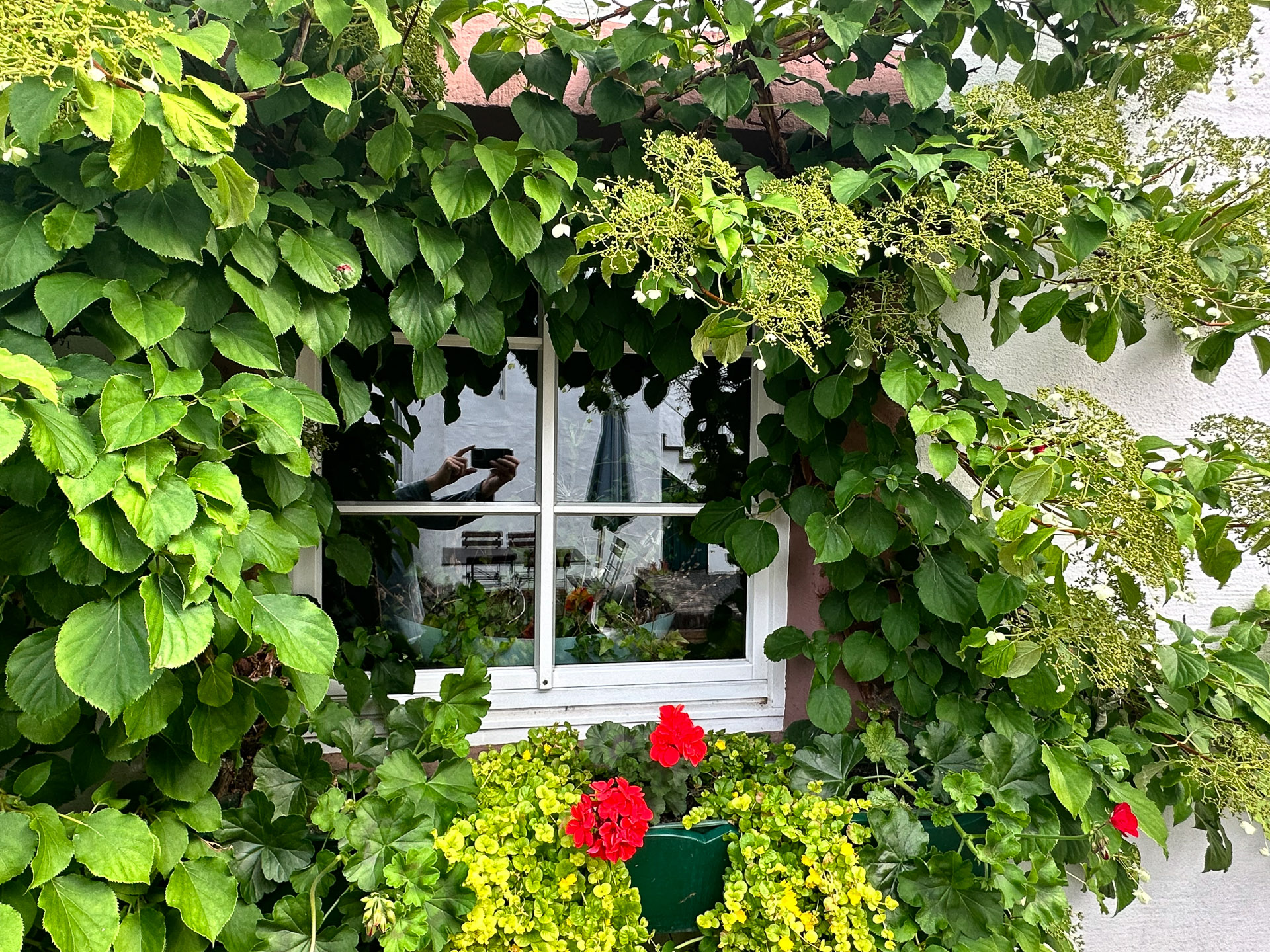 Zehntscheune in Kronenburg Zehntscheune in Kronenburg