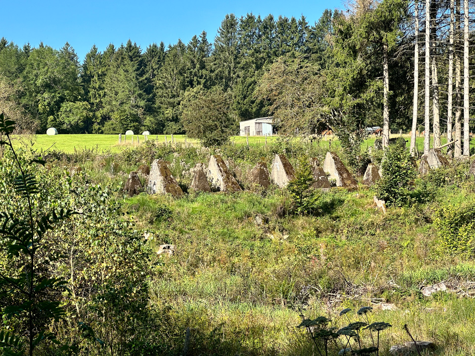 Zehntscheune in Kronenburg – es gibt in Kronenburg und seiner unmittelbaren Umgebung viel zu entdecken und zu erleben. Zehntscheune in Kronenburg - es gibt in Kronenburg und seiner unmittelbaren Umgebung viel zu entdecken und zu erleben.