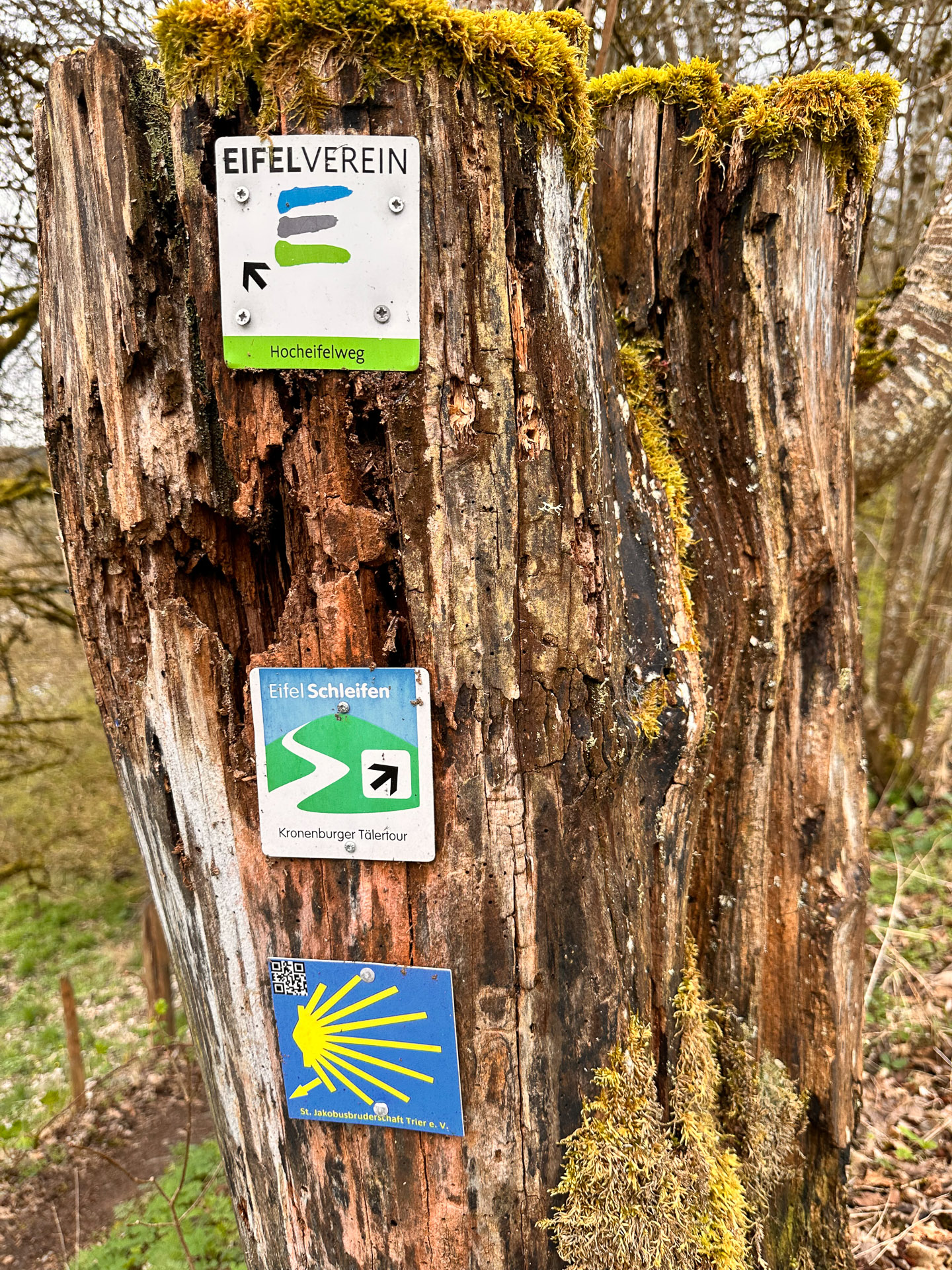 Zehntscheune Kronenburg – Café und Ausflugsziel in Kronenburg Eifel Zehntscheune Kronenburg – Café und Ausflugsziel in Kronenburg Eifel